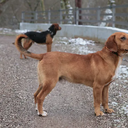 Oniropetra Boutique فندق 3*